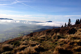 Naturerlebnis im Lamer Winkel